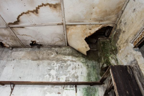 Water Damage Service in Woodinville