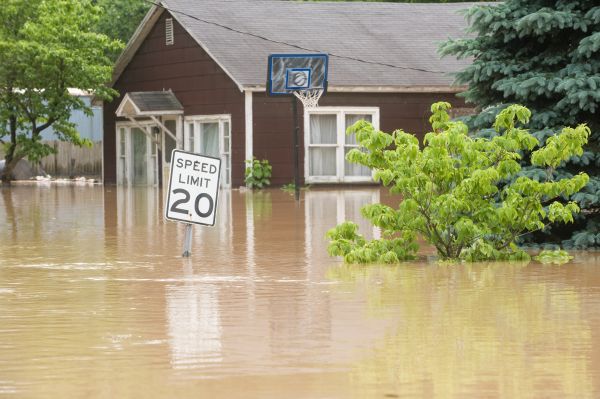 Storm Restoration Service in Woodinville