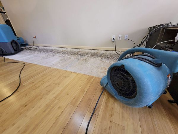 Cost of Water Damage Mitigation in Woodinville