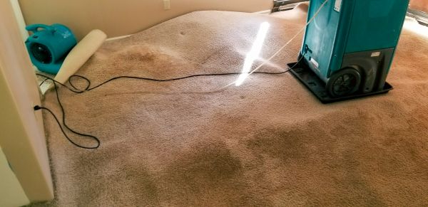 Carpet Water Extraction in Woodinville