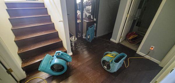 Water Damage Remediation in Woodinville