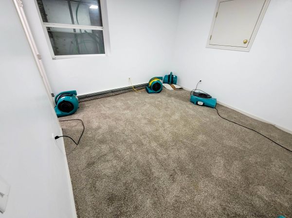 Flood Restoration Service in Woodinville