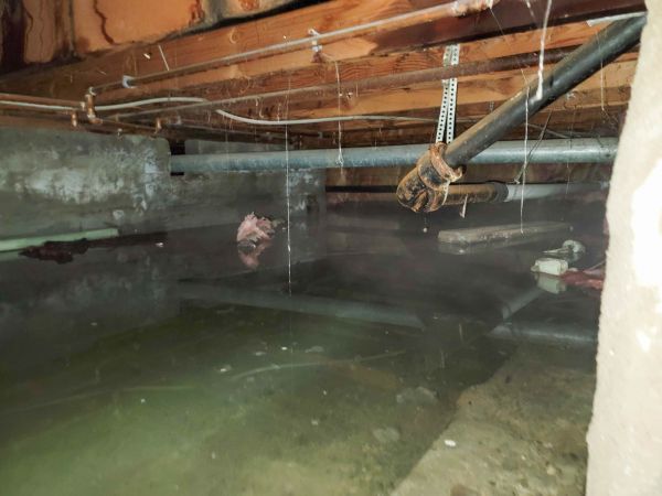 Cost of Crawl Space Drying in Woodinville