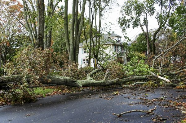 Tornado Damage Repair in Woodinville